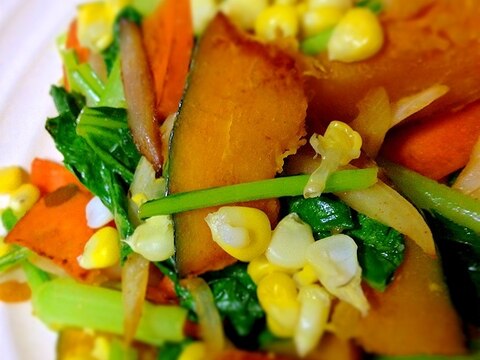 五種彩り野菜のあっさり炒め